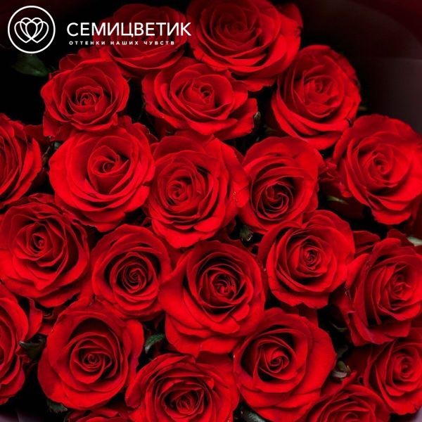 Букет из 25 красных роз 70 см (Россия)