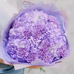 Букет из 3 фиолетовых гортензий и 10 сиреневых гвоздик в розовой пленке