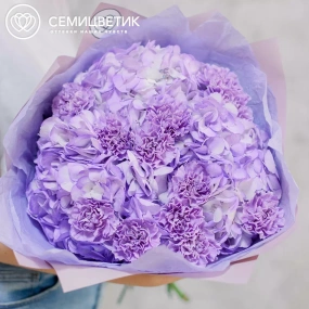 Букет из 3 фиолетовых гортензий и 10 сиреневых гвоздик в розовой пленке