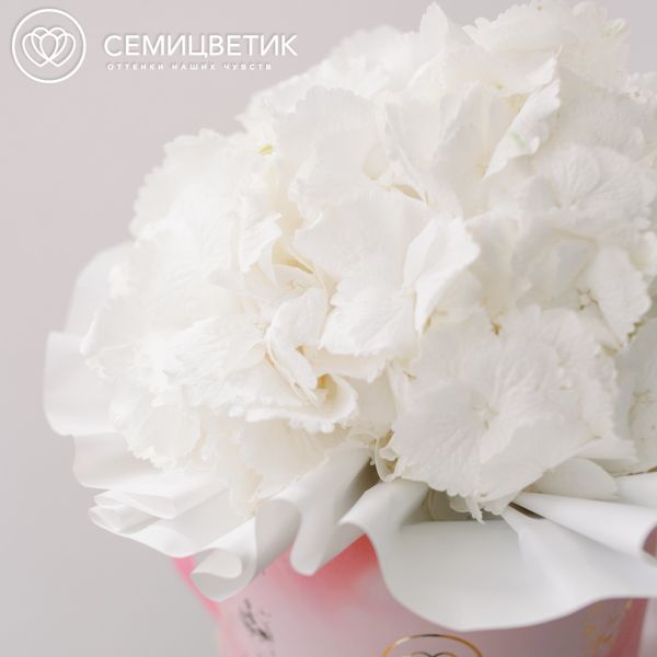 Букет в розовой шляпной коробке Amour Mini из 3 белых гортензий