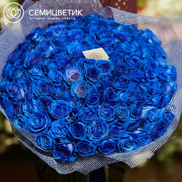 Букет из 101 синей розы 60 см (Эквадор) в упаковке