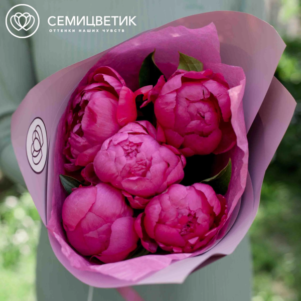 Букет из 5 малиновых пионов Premium в сиреневой пленке