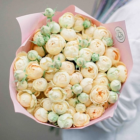 Букет из 25 кремовых кустовых пионовидных роз 70 см (Россия) в розовой пленке