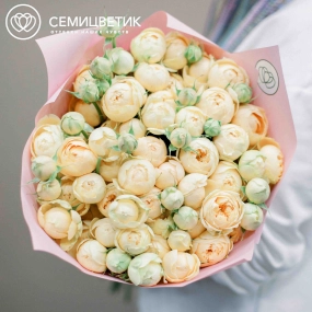 Букет из 25 кремовых кустовых пионовидных роз 70 см (Россия) в розовой пленке