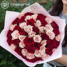 Букет из 51 красной и нежно-розовой розы 30 см (Кения) в розовой пленке