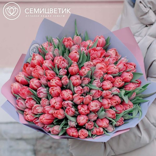 Букет из 101 розового пионовидного тюльпана в сиреневой пленке