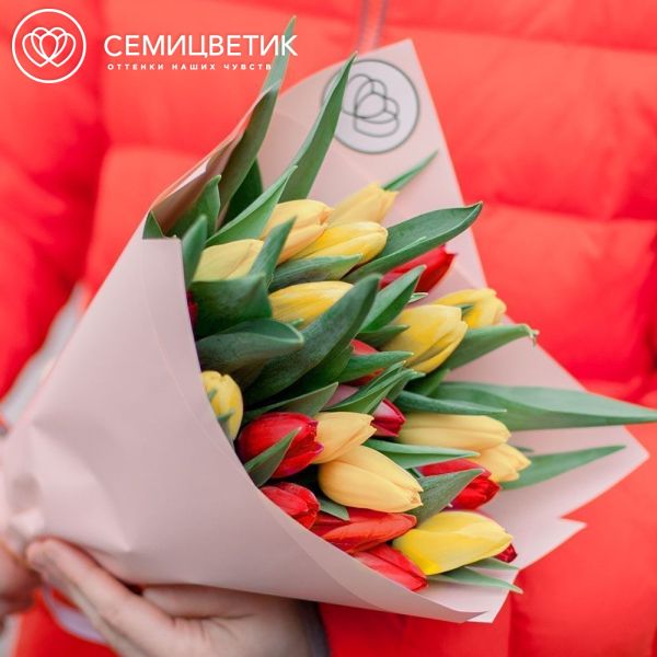 Букет из 25 желтых и красных тюльпанов 40 см в кремовой пленке