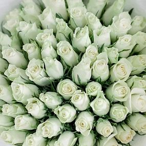 Букет из 75 белых роз 30 см (Кения) в белой пленке