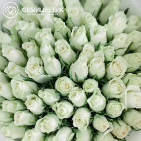 Букет из 75 белых роз 30 см (Кения) в белой пленке