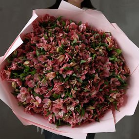 Букет из 101 розовой альстромерии
