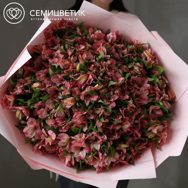Букет из 101 розовой альстромерии