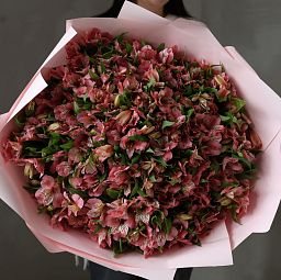 Букет из 101 розовой альстромерии