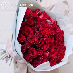 Букет из 51 красной с темной каймой розы (Россия) 50 см