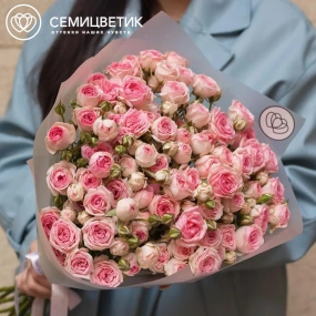 Букет из 15 кустовых пионовидных розовых роз 60 см (Россия) в прозрачной пленке