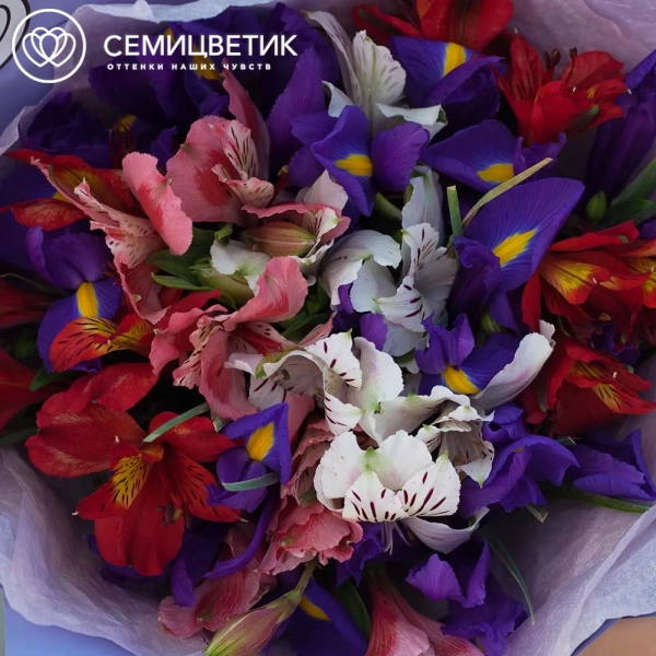 Букет из 9 ирисов и 6 альстромерий микс в сиреневой пленке