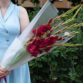 Большой букет для любимой  из 5 красных гладиолусов