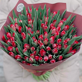 Букет из 101 красного тюльпана 40 см в розовой пленке