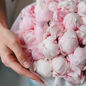 Букет в голубой шляпной коробке Amour из 51 розового пиона Standart Plus