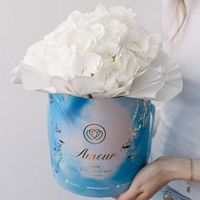 Букет в голубой шляпной коробке Amour Mini из 3 белых гортензий