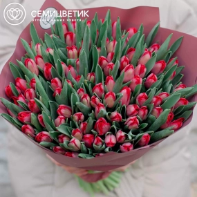 Букет из 101 красного тюльпана 40 см в розовой пленке