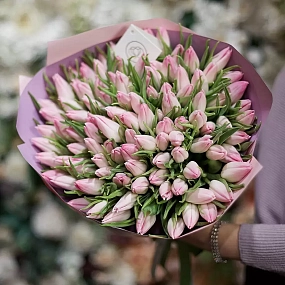 Букет из 101 нежно-розового тюльпана в розовой пленке