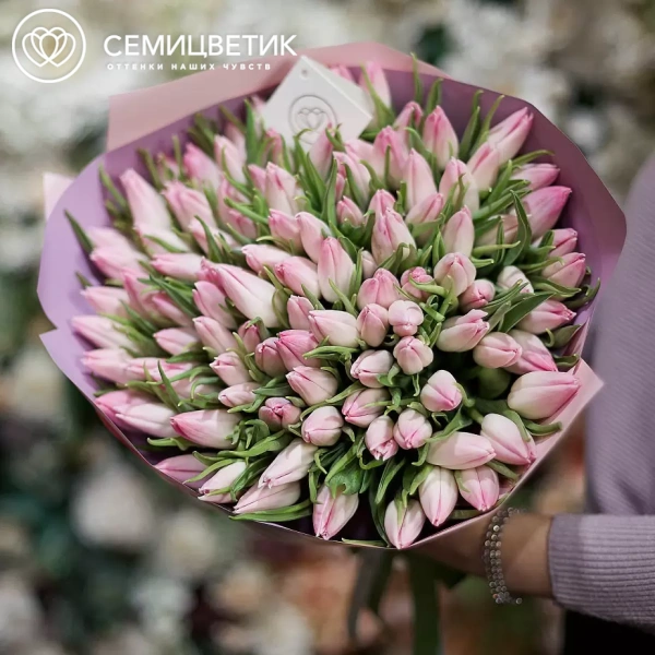 Букет из 101 нежно-розового тюльпана в розовой пленке