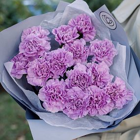 Букет из 15 сиреневых (лунных) гвоздик