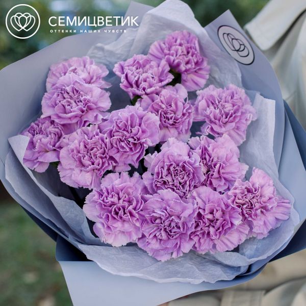 Букет из 15 сиреневых (лунных) гвоздик