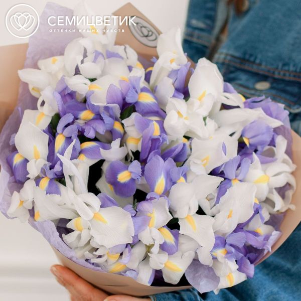 Букет из 25 белых и синих ирисов