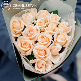 Букет из 15 кремовых роз Пич Аваланш 35-40 см (Россия) в зеленой пленке