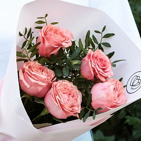 Букет из 5 кораллово-розовых пионовидных роз Wild Love 40 см с фисташкой в розовой пленке