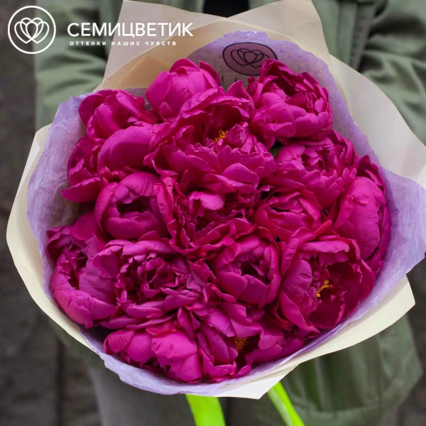 Букет из 15 малиновых пионов Standart в кремовой пленке