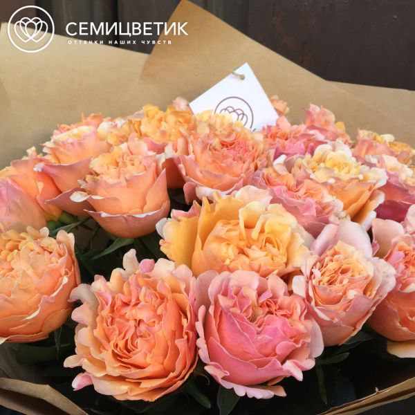 Букет из 25 персиковых пионовидных роз Mayra's Peach 40 см