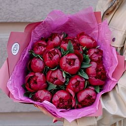 Букет из 15 бордовых пионов Premium в розовой пленке