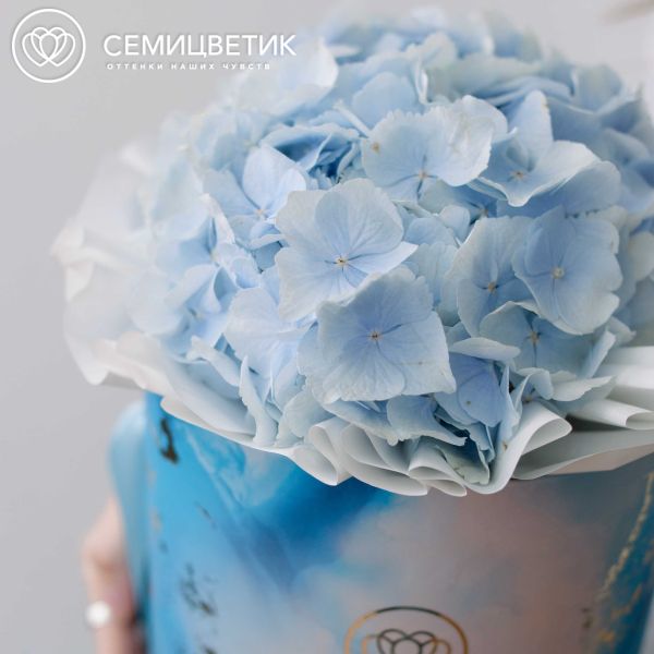 Букет в голубой шляпной коробке Amour Mini из 3 голубых гортензий
