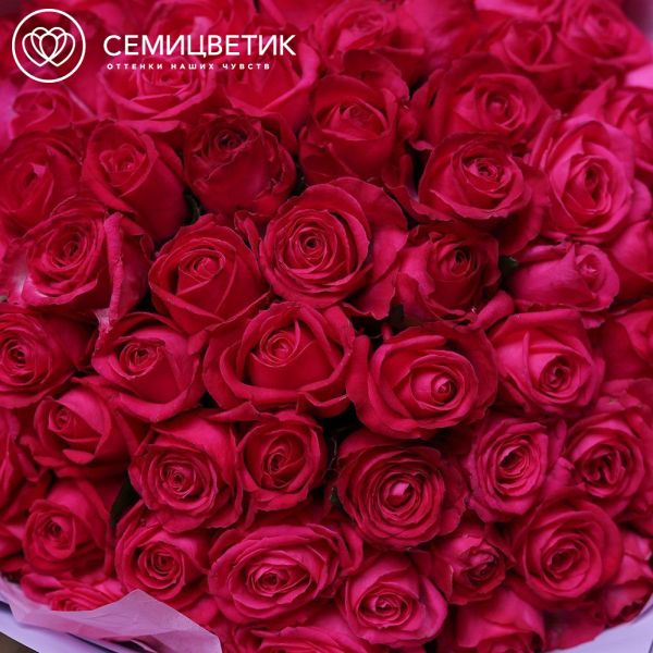 Букет из 75 малиновых роз 40 см (Россия) сиреневой пленке