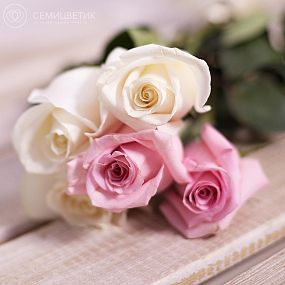 Букет из 5 розовых и белых роз 50 см (Эквадор)