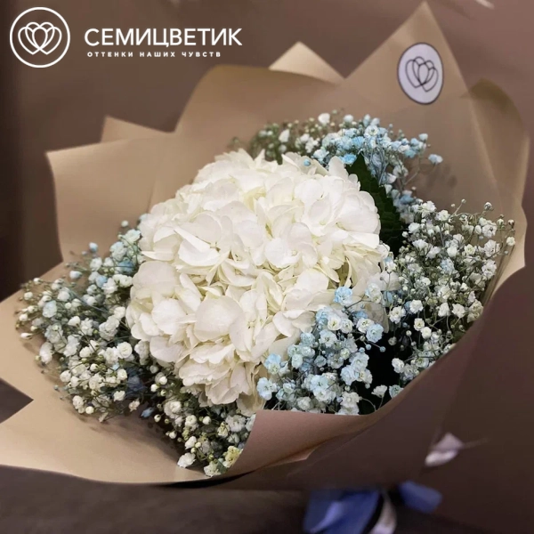 Букет из белой гортензии и голубой гипсофилы в упаковке
