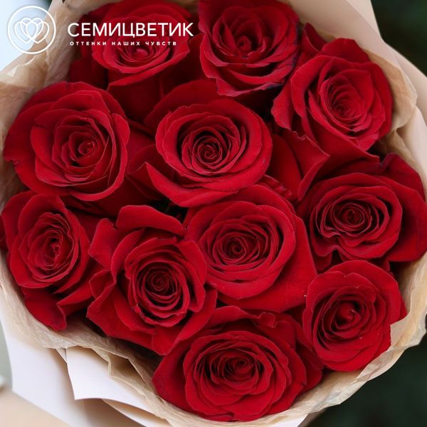 Букет из 11 красных роз Freedom 50 см (Эквадор)