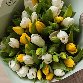 Букет из 35 желтых и белых тюльпанов 40 см