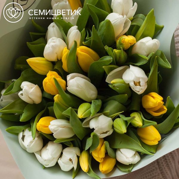 Букет из 35 желтых и белых тюльпанов 40 см