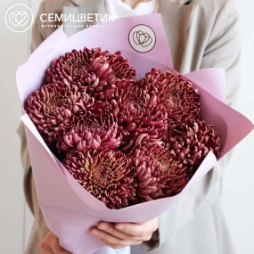 Букет из 9 одноголовых бордовых хризантем Бигуди в бордовой пленке