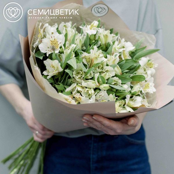 Букет из 23 кремовых альстромерий