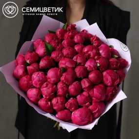 Букет из 51 ярко-розового пиона Red Sarah Bernhardt Premium в розовой упаковке
