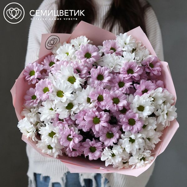 Букет из 11 белых и розовых кустовых хризантем в розовой пленке