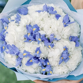 Букет из 5 белых гортензий и 15 синих ирисов в голубой пленке