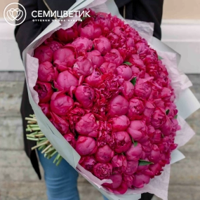 Букет из 101 ярко-розового пиона Standart Plus в голубой пленке