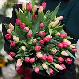 Букет из 51 красного и розового тюльпана