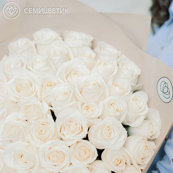 51 роза 70 см Vendela (Эквадор) в натуральной сетке ZL