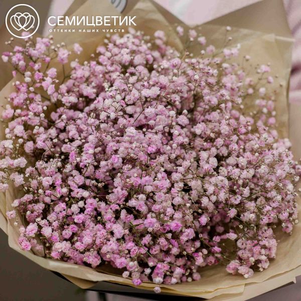Букет из 7 розовых гипсофил
